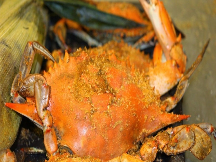 Higgins Crab House North Higgins Crab House North