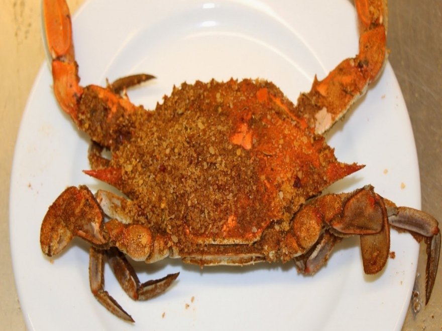 Higgins Crab House North Higgins Crab House North