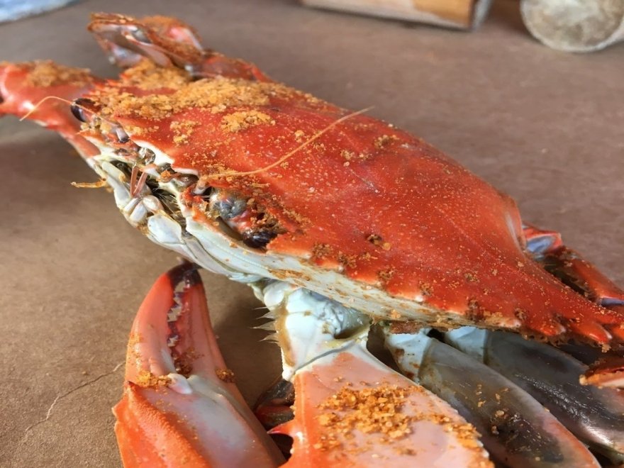 Higgins Crab House North Higgins Crab House North