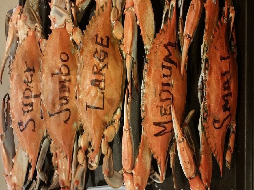 Higgins Crab House North Higgins Crab House North