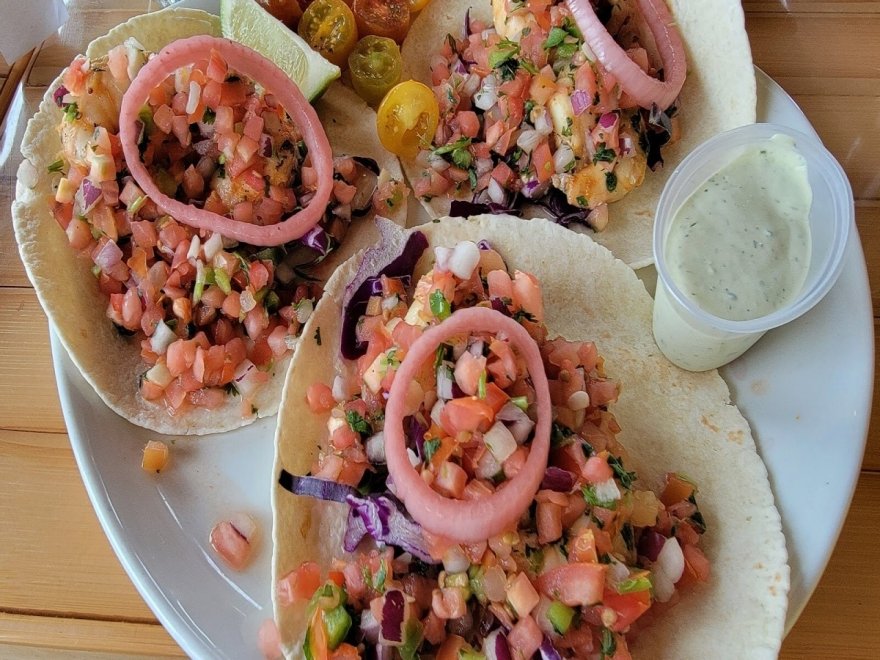 Bad Monkey West OC Bad Monkey West OC