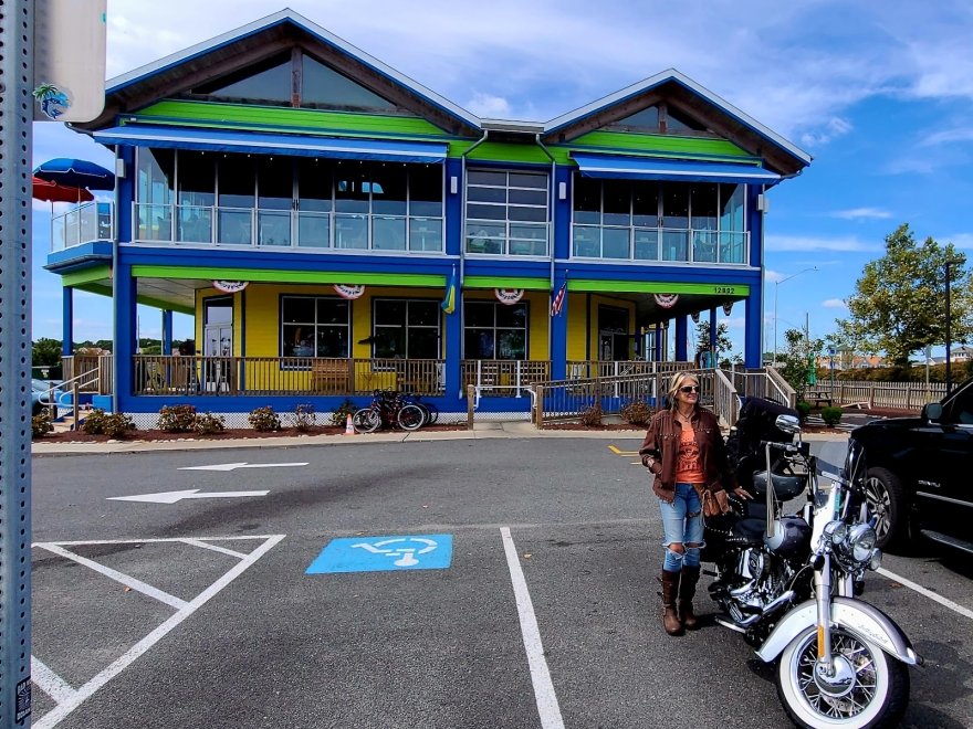 Bad Monkey West OC Bad Monkey West OC