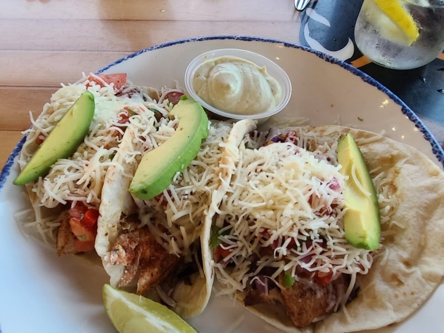 Bad Monkey West OC Bad Monkey West OC