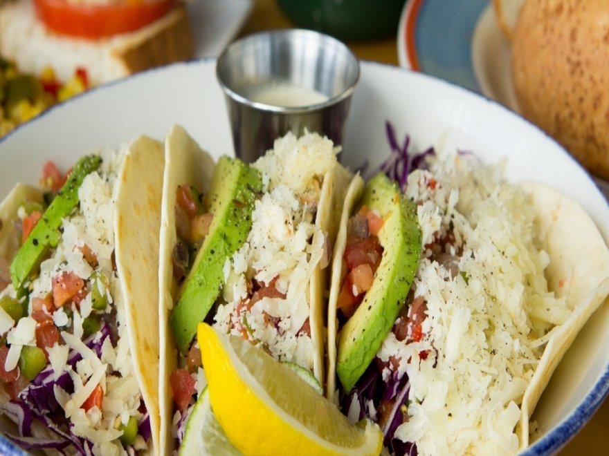 Bad Monkey West OC Bad Monkey West OC