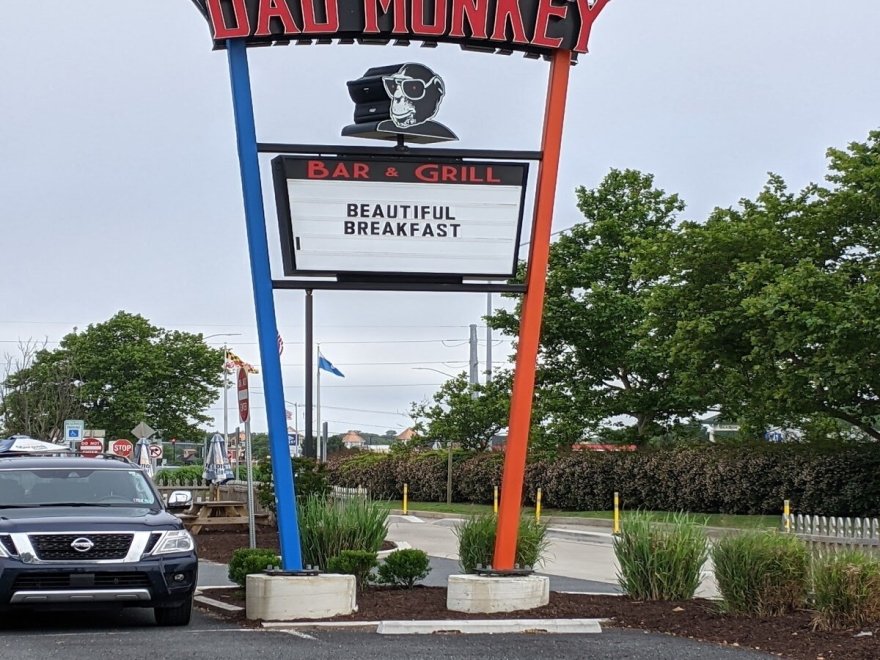 Bad Monkey West OC Bad Monkey West OC