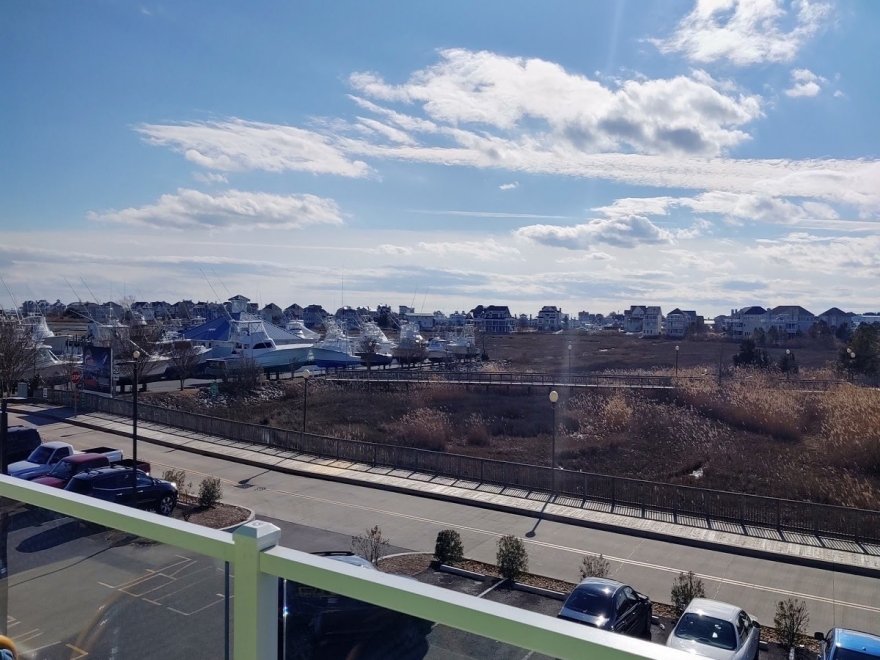 Bad Monkey West OC Bad Monkey West OC