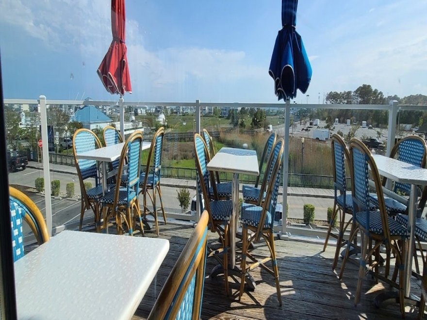 Bad Monkey West OC Bad Monkey West OC