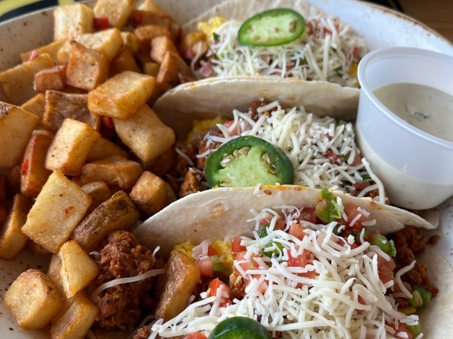 Bad Monkey West OC Bad Monkey West OC