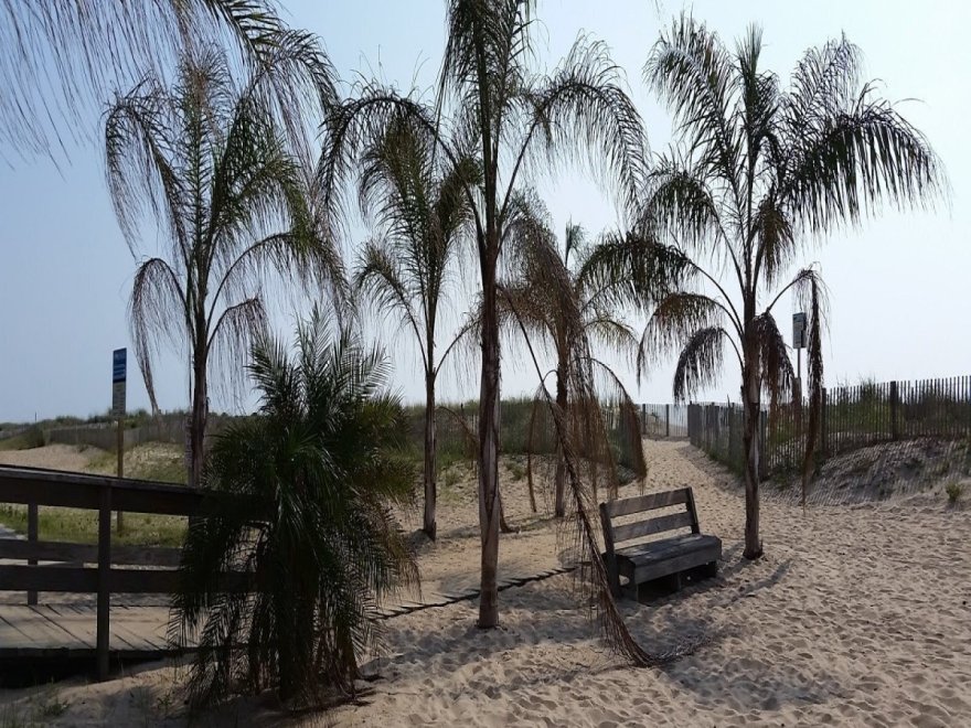 Ocean Pines Association Inc